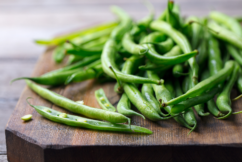 IQF Green Beans Information and Supply Uren Food Ingredients