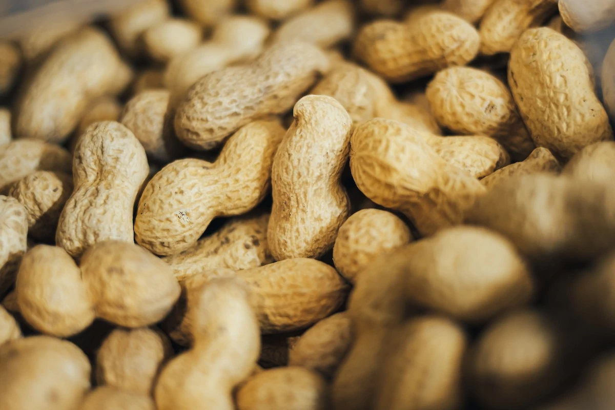 roasted monkeynuts