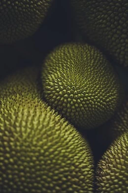 jackfruit